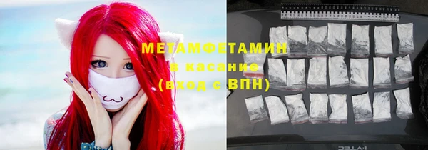 ГАЛЛЮЦИНОГЕННЫЕ ГРИБЫ Новозыбков