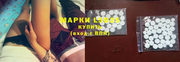 ГАЛЛЮЦИНОГЕННЫЕ ГРИБЫ Новозыбков