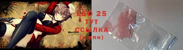 ГАЛЛЮЦИНОГЕННЫЕ ГРИБЫ Новозыбков