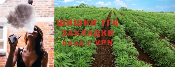 ГАЛЛЮЦИНОГЕННЫЕ ГРИБЫ Новозыбков