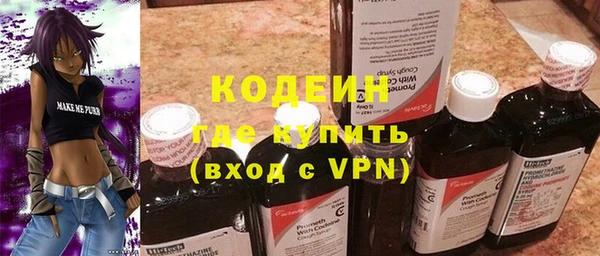 ГАЛЛЮЦИНОГЕННЫЕ ГРИБЫ Новозыбков