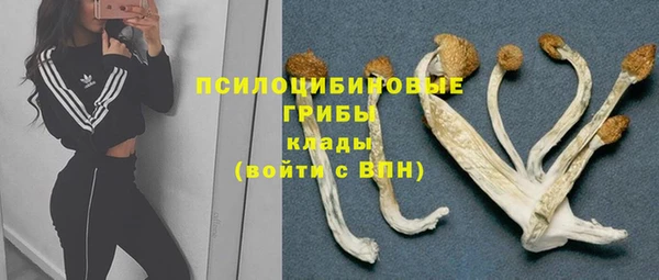 СК Новокубанск