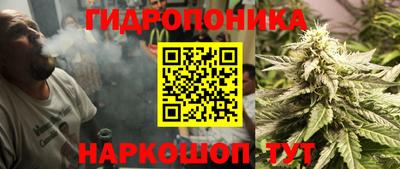 экстази Гай