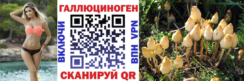 Галлюциногенные грибы GOLDEN TEACHER мега маркетплейс Алексеевка где можно купить