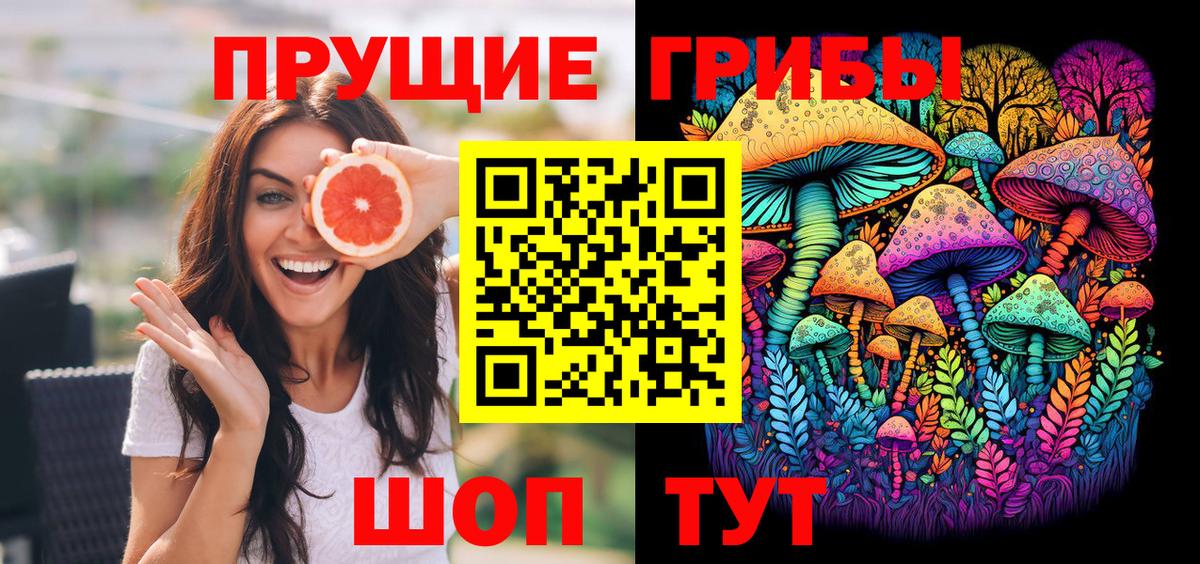 Алексеевка  Псилоцибиновые грибы MAGIC MUSHROOMS  Псилоцибиновые грибы Psilocybine cubensis  Вход с VPN 
