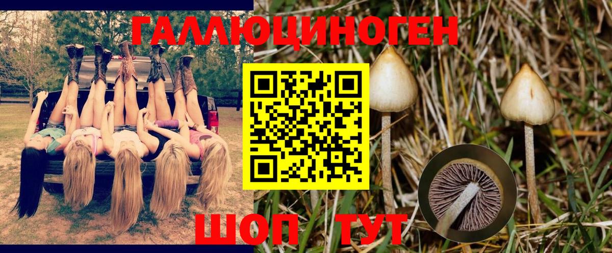 Псилоцибиновые грибы MAGIC MUSHROOMS Алексеевка