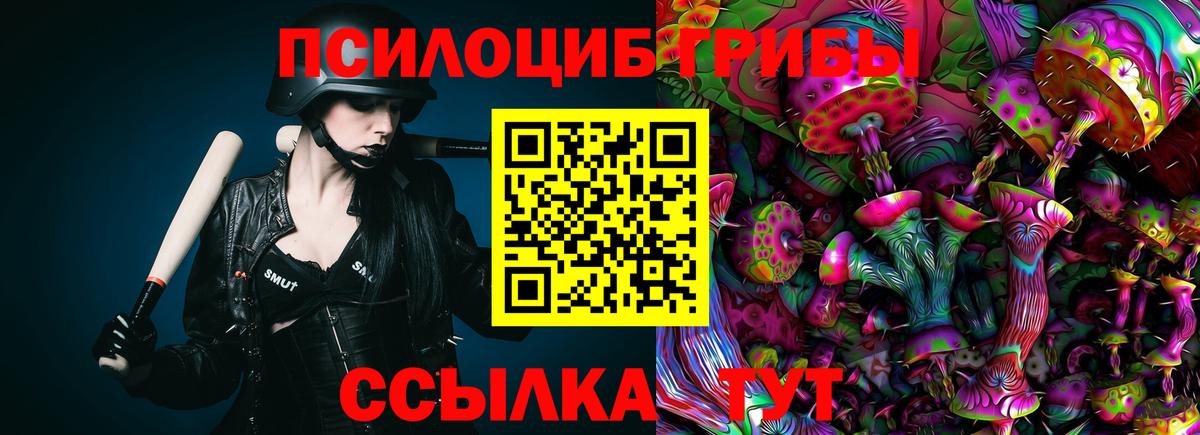 Алексеевка  Псилоцибиновые грибы прущие грибы  Вход с VPN 